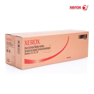 Drum Xerox 013R00636